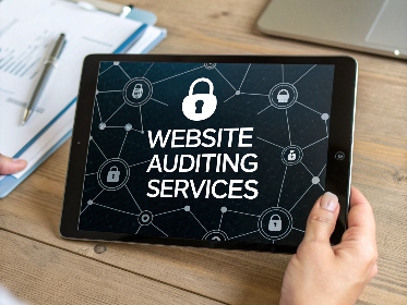 website audting
